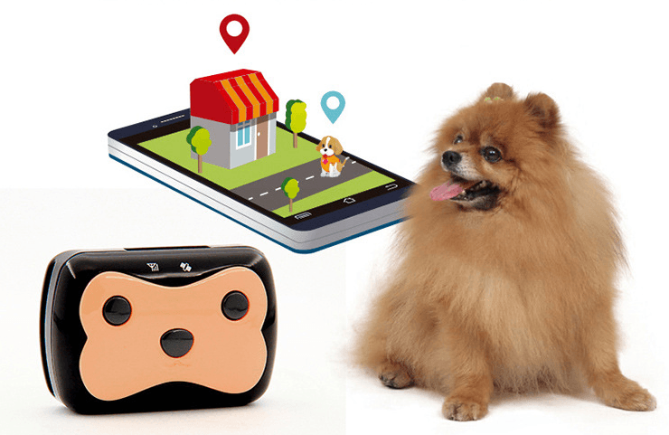 Pet Locator Smart HP01 Cross-Border Mini Pet Tailored Length Adjustable GPS Locator - Mubimart