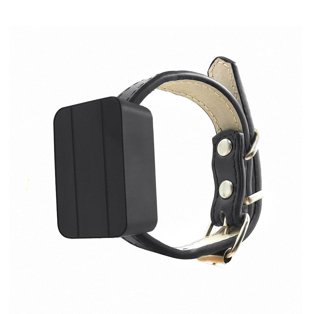 Pet Mini GPS Locator - Mubimart