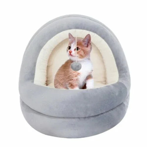 Pet Winter Essentials