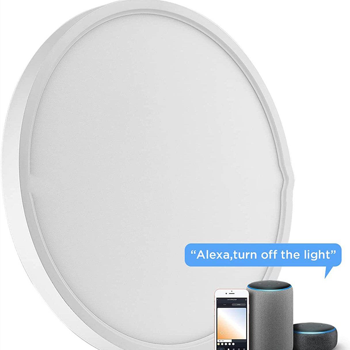 RGBCW Full Color Dimming Smart APP Bluetooth Voice Ceiling Light - Mubimart