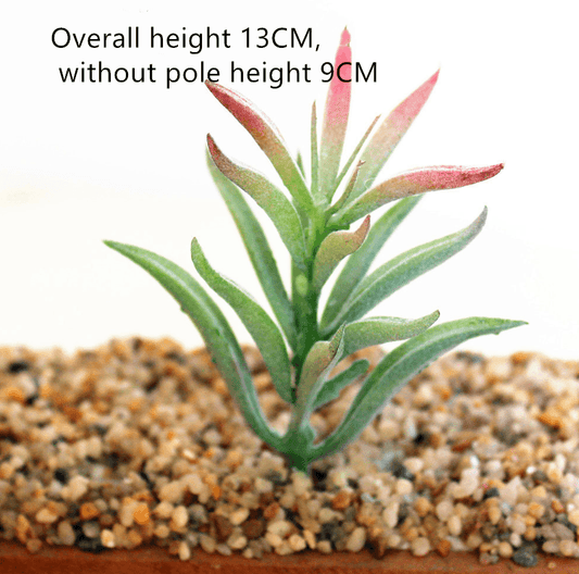 Simulated succulent plants - Mubimart