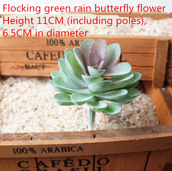 Simulated succulent plants - Mubimart
