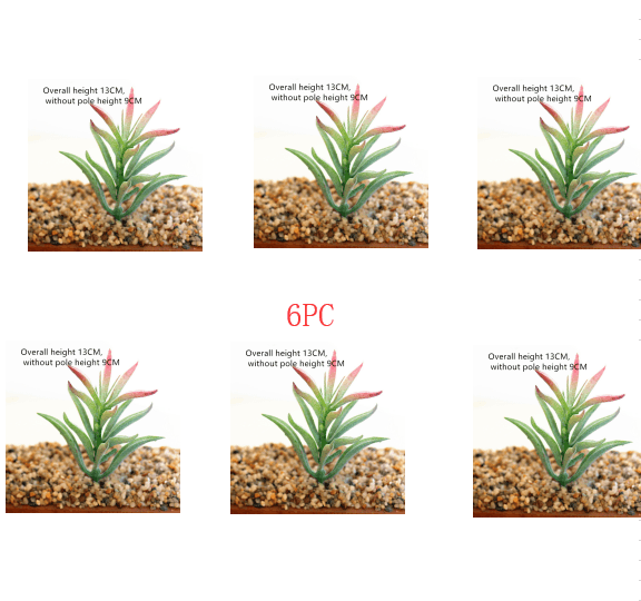 Simulated succulent plants - Mubimart