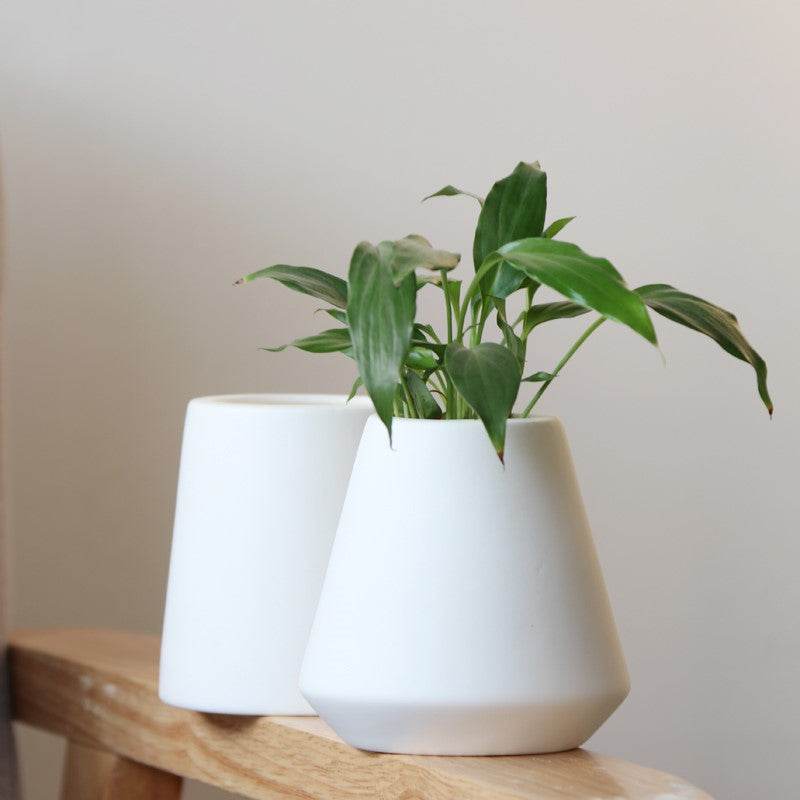 White ceramic green plants - Mubimart