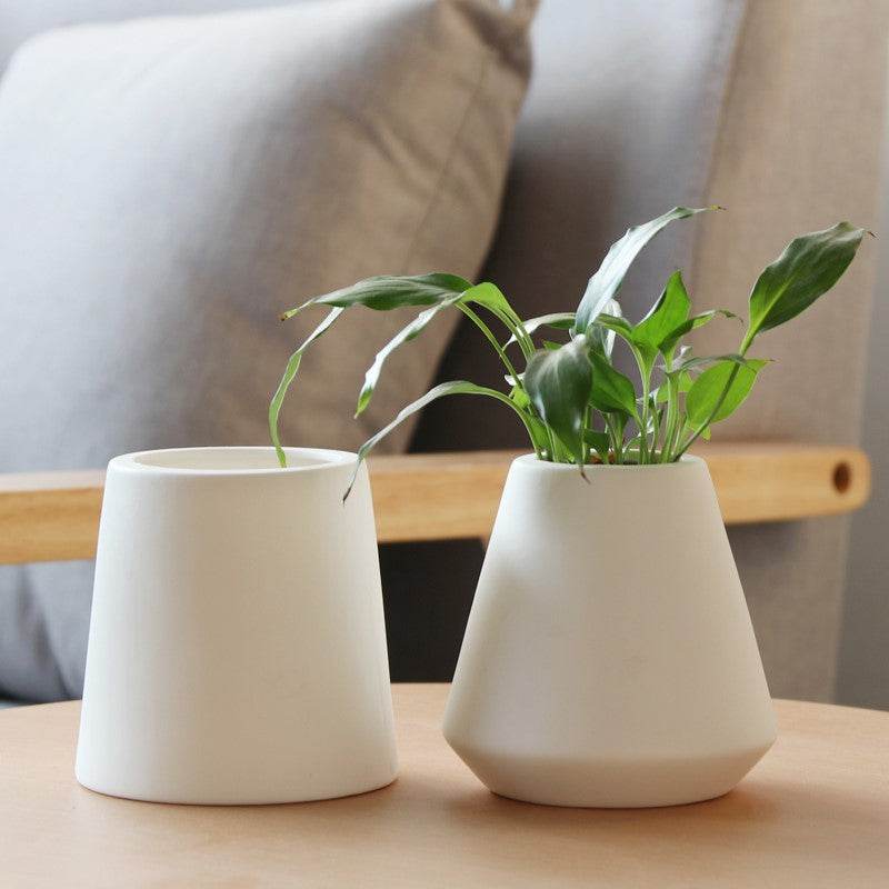 White ceramic green plants - Mubimart