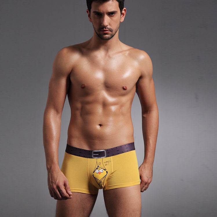 Men's Boxer Briefs Mysterious Bird Male Boxer Briefs U Convex Design Briefs - Mubimart