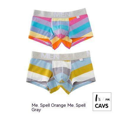 Men's Striped Print Boxer Briefs - Mubimart