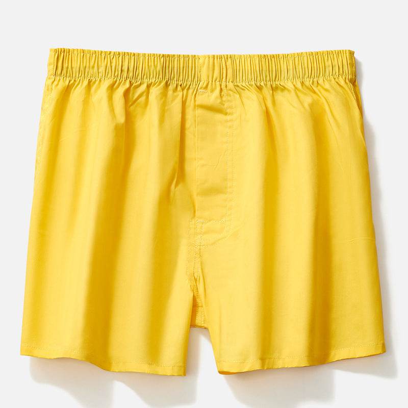 Men's Cotton Boxer Plus Size Youth Boxer Briefs - Mubimart