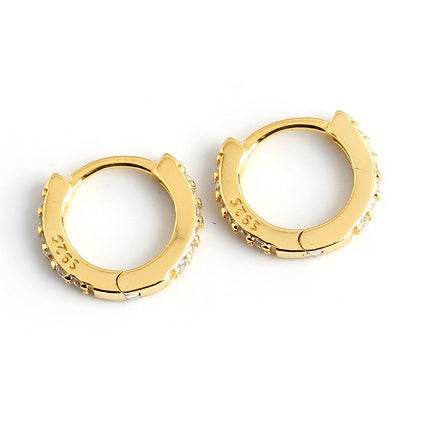 Terra Hoop Earrings - Mubimart