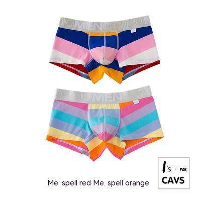 Men's Striped Print Boxer Briefs - Mubimart