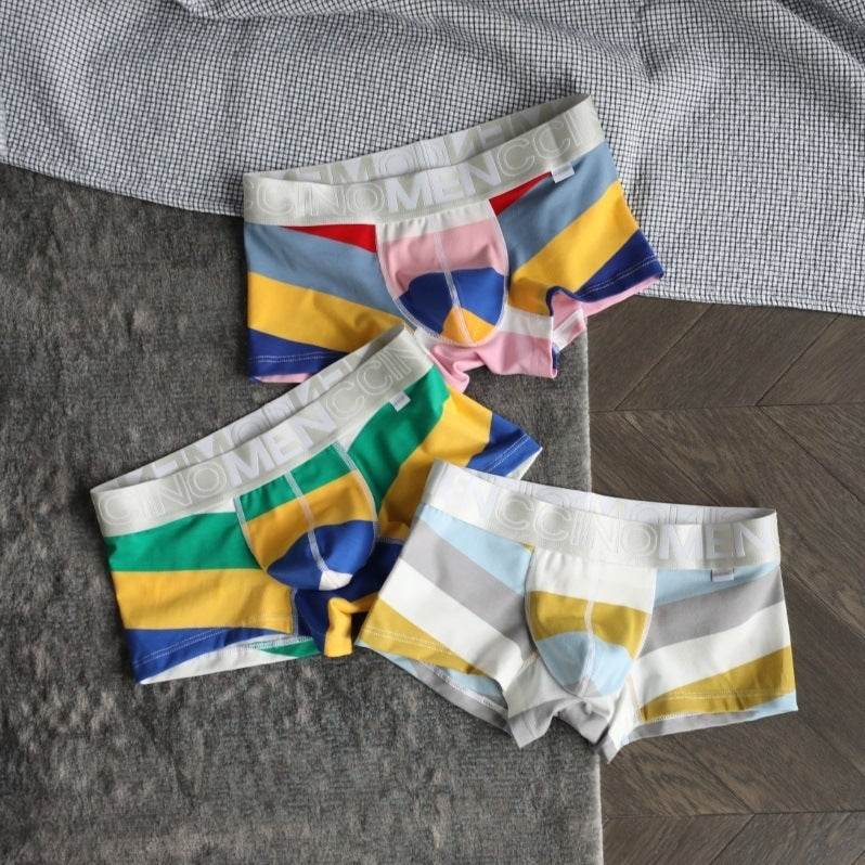 Men's Striped Print Boxer Briefs - Mubimart