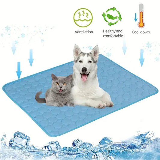 eb2721dc-4534-405b-b9a8-1c3472045424 - Mubimart