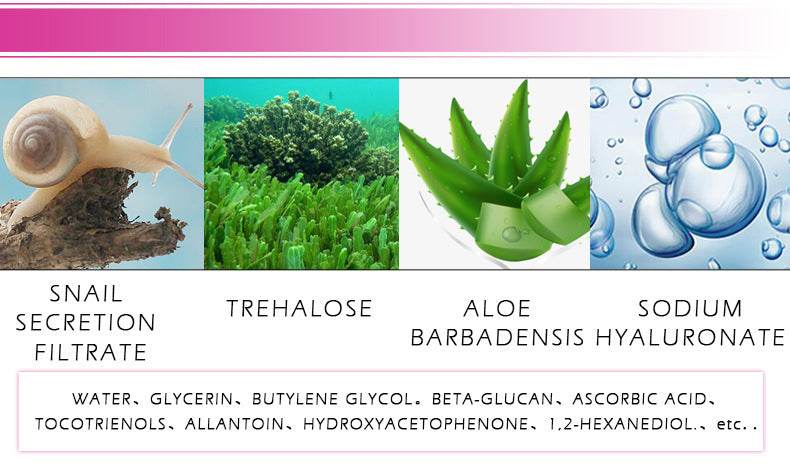RtopR Vitamin C Snail Serum Cross-border Model RtopR011 - Mubimart