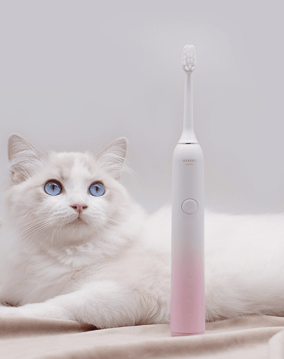 electric toothbrush - Mubimart