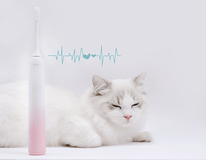 electric toothbrush - Mubimart