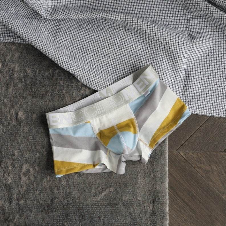 Men's Striped Print Boxer Briefs - Mubimart
