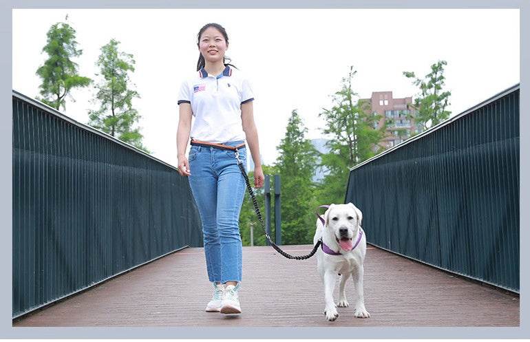Snack Bag Pet Training Bag Training Fanny Pack - Mubimart