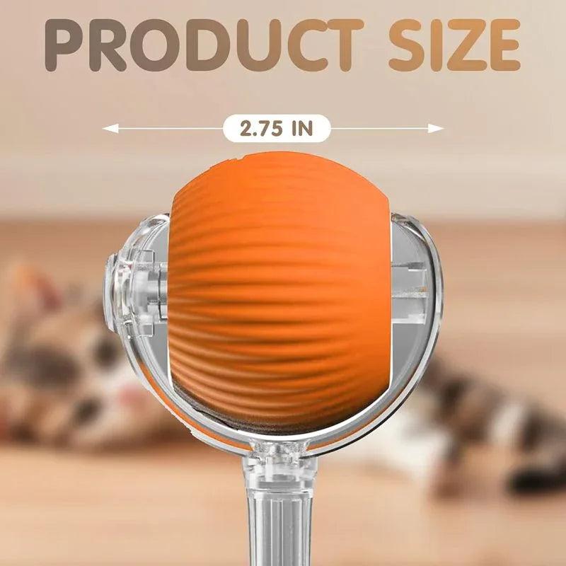 00b05233-1c84-4d6f-af5f-ce59c82446f1 - Mubimart