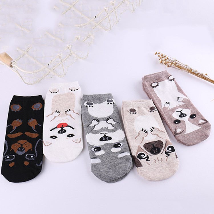 Socks Europe, America, Japan And South Korea Cartoon Straight Dog Invisible Low Cut Socks Cotton Comfortable Personality Socks For Women - Mubimart -  