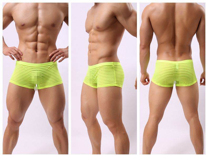 Striped Transparent Boxers For Men - Mubimart
