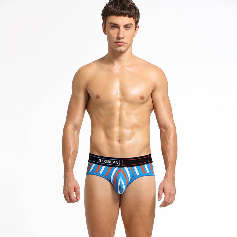 Men's Briefs Cotton Briefs With Vertical Stripes - Mubimart