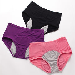 Mesh Breathable And Leak-proof Physiological Pants - Mubimart - Period panties 