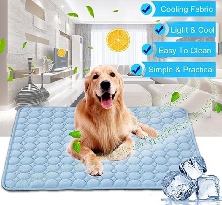 1023724984832_07eae474-8a08-43f0-b25c-936a3184d4b5 - Mubimart