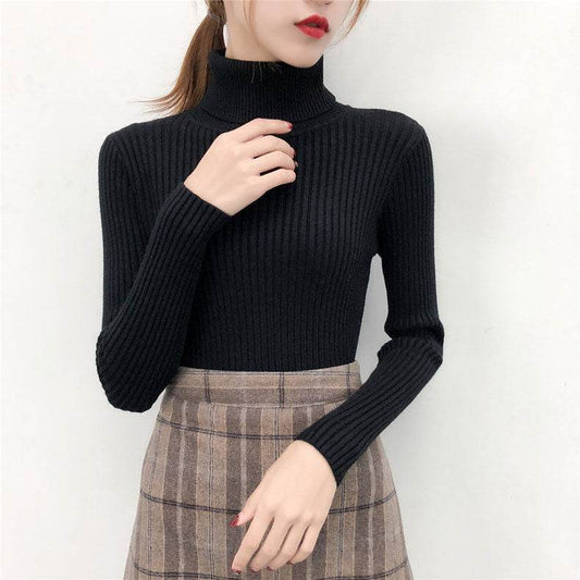 Turtleneck pullover - Mubimart