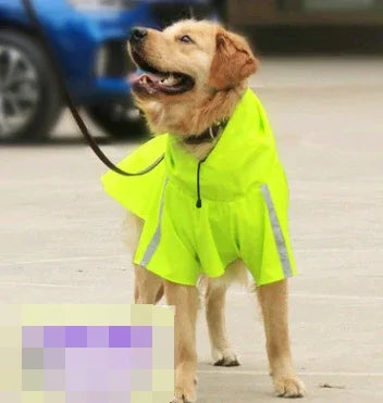 11058565956936 - Mubimart