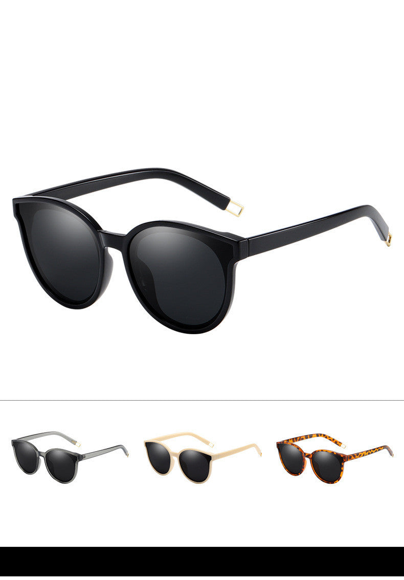 LargeFrame Polarized Sunglasses