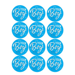 12 Pack Gender Reveal Stickers Team Boy O Team Girl Gender Reveal Adhesive Sticker - Mubimart -  