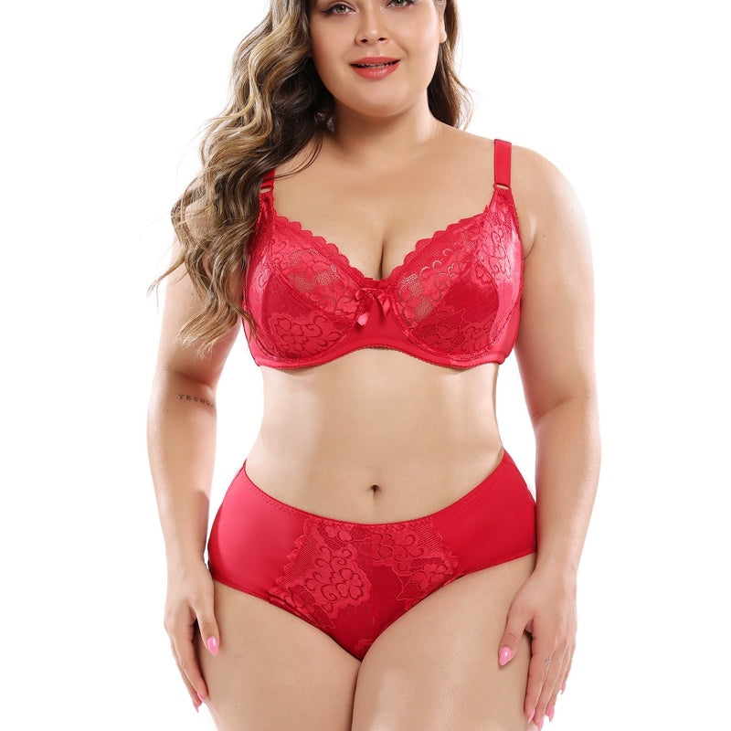 Lace plus size bra set - Mubimart -  