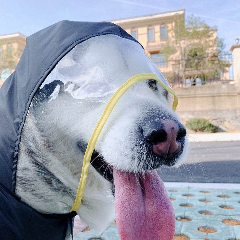 Pet light waterproof raincoat - Mubimart