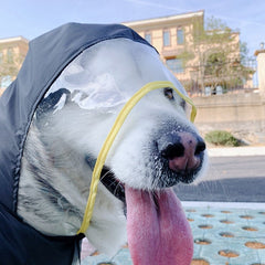 Pet light waterproof raincoat