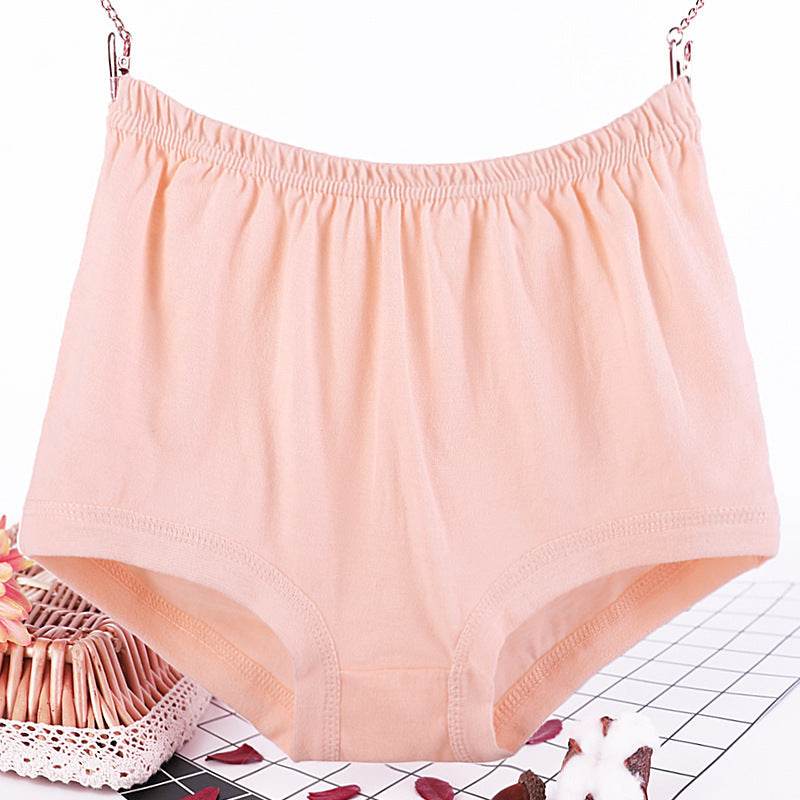 Plus size fat women briefs - Mubimart