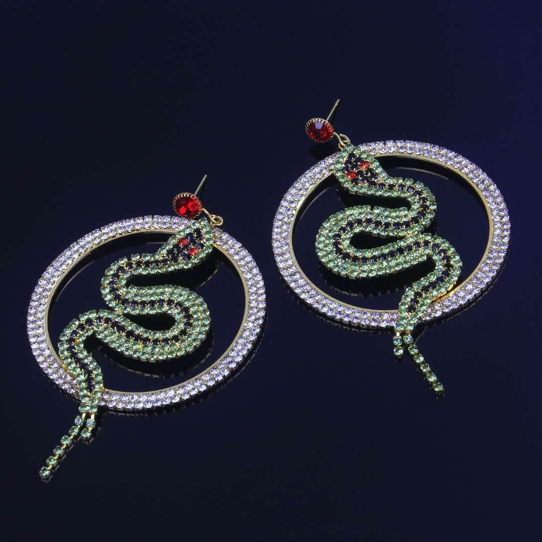 Diamond hoop earrings - Mubimart