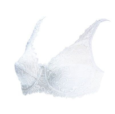 Sexy Lace Plus Size Bra - Mubimart -  