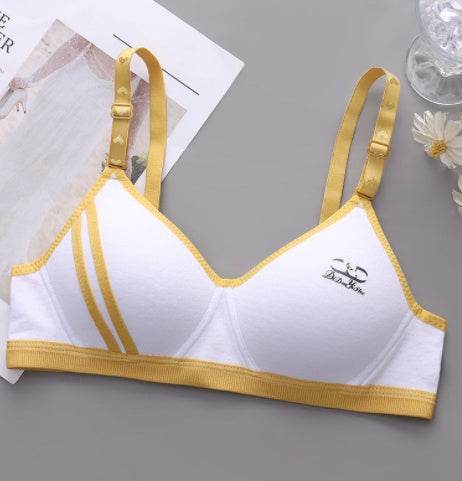 Japanese Style Small Chest Push Up Bra - Mubimart