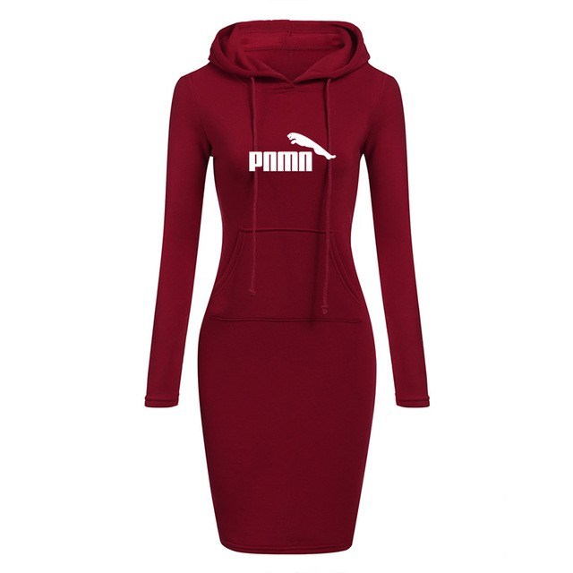 Autumn Winter Women Hoodies Sweatshirts Long-sleeved Dress - Mubimart -  