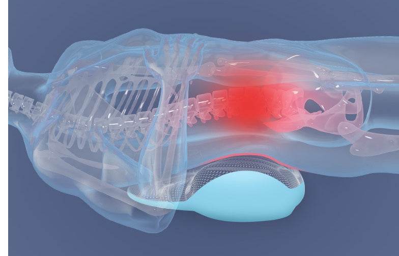 Lumbar Pillow Sleeping Bed Lumbar Pad Lumbar Disc - Mubimart