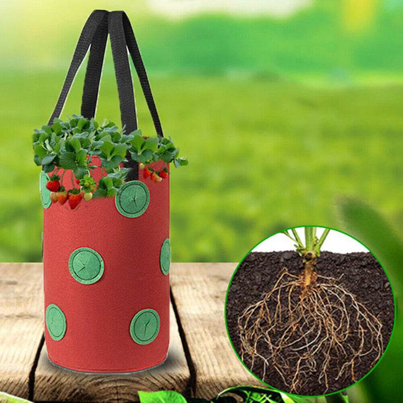 Strawberry Grow Bag Nonwoven Fabric Vertical Jardin Garden Hanging Plant Bag Vegetable Potato Planter Bag For Greenhouse - Mubimart