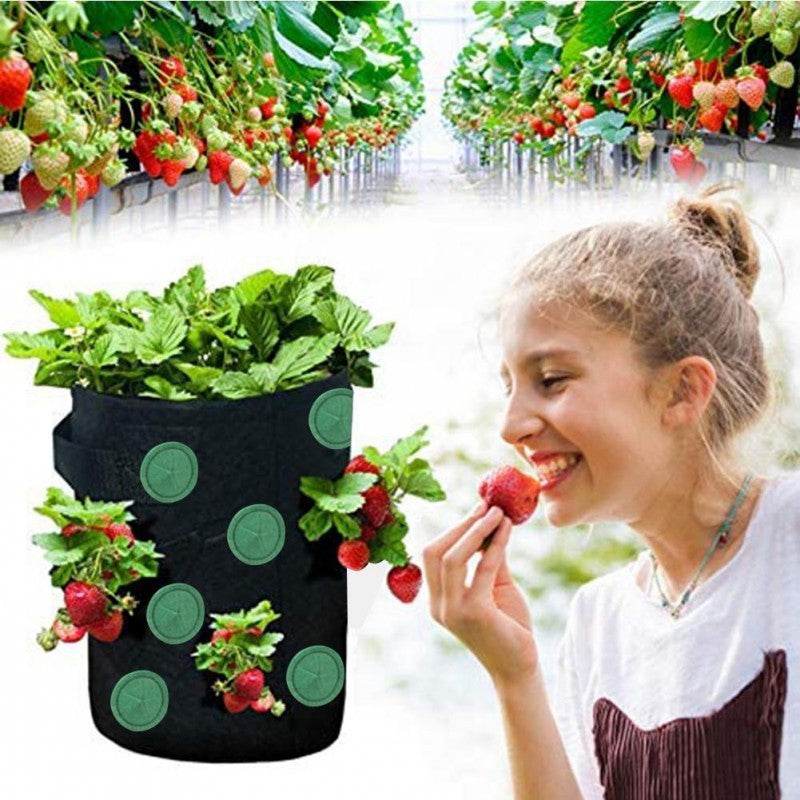 Strawberry Grow Bag Nonwoven Fabric Vertical Jardin Garden Hanging Plant Bag Vegetable Potato Planter Bag For Greenhouse - Mubimart