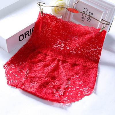 Hollow Lace Sexy High Waist Panties - Mubimart