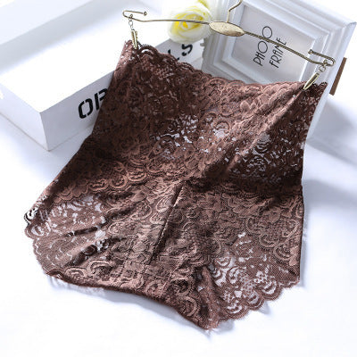 Hollow Lace Sexy High Waist Panties - Mubimart -  