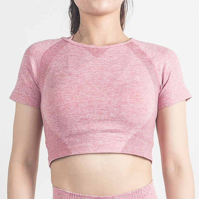 Seamless Yoga Top Fitness Long Sleeve Women Gym Crop Top - Mubimart -  