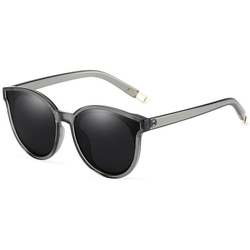 LargeFrame Polarized Sunglasses