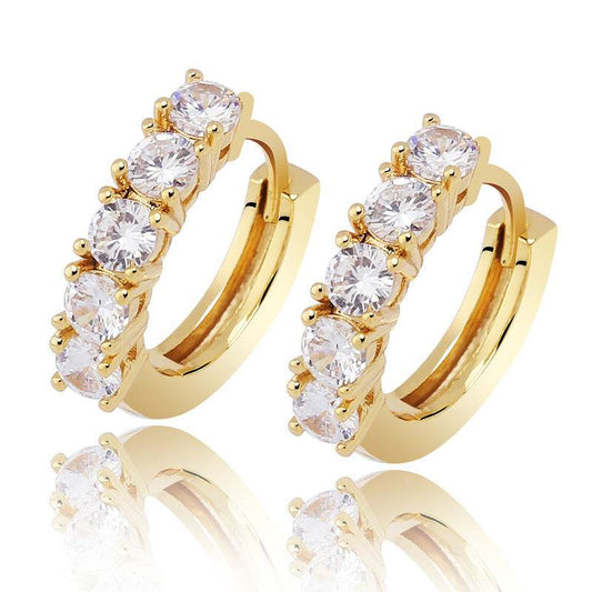 Single Row Zircon Hip Hop Men And Women Couple Hinge Ring Earrings - Mubimart