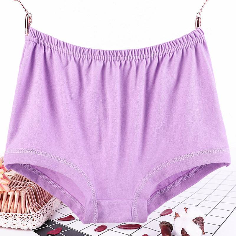 Plus size fat women briefs - Mubimart
