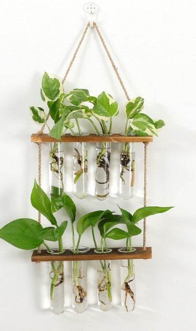 Wall Hanging Terrarium Flower Glass Planter Propagator for Plant Garden - Mubimart