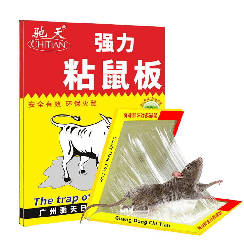 20g Household Strong Sticky Mouse Trap Sticker - Mubimart